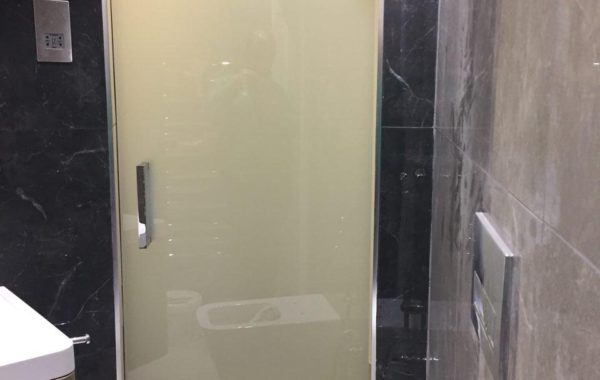 Shower door