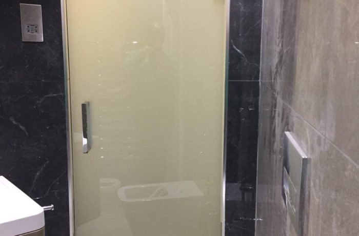 Shower door