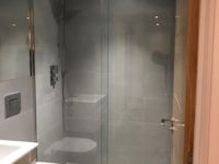 Shower door