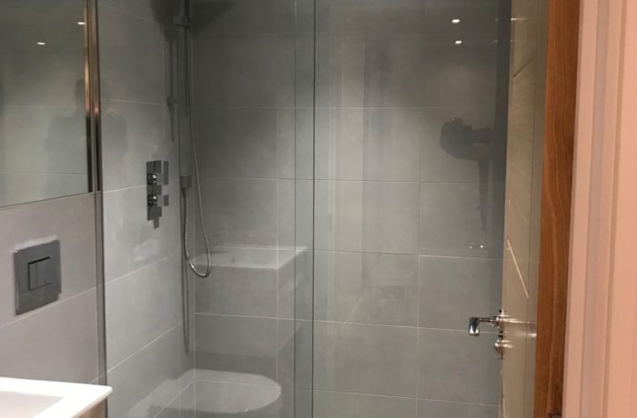 Shower door